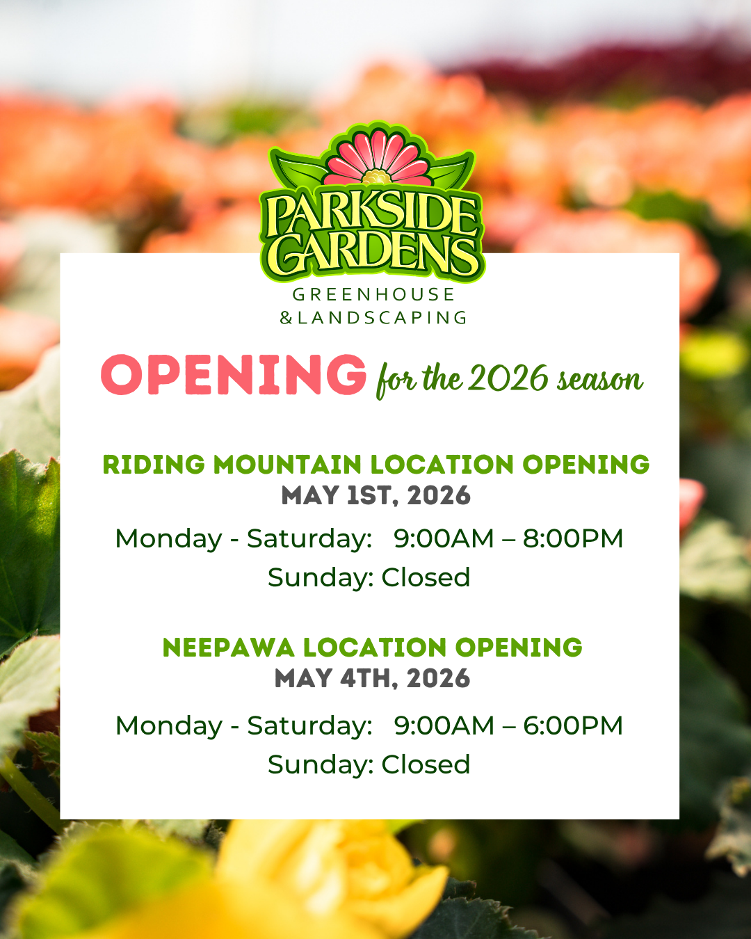 Opening for the 2026 Season Riding Mountain Location Open May 1st, 2026 Monday - Saturday: 9:00AM – 8:00PM Sunday: Closed Neepawa Location Open May 4th, 2026 Monday - Saturday: 9:00AM – 6:00PM Sunday: Closed 204-967-2135 | PARKSIDEGARDENS.CA